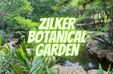 zilker botanical garden